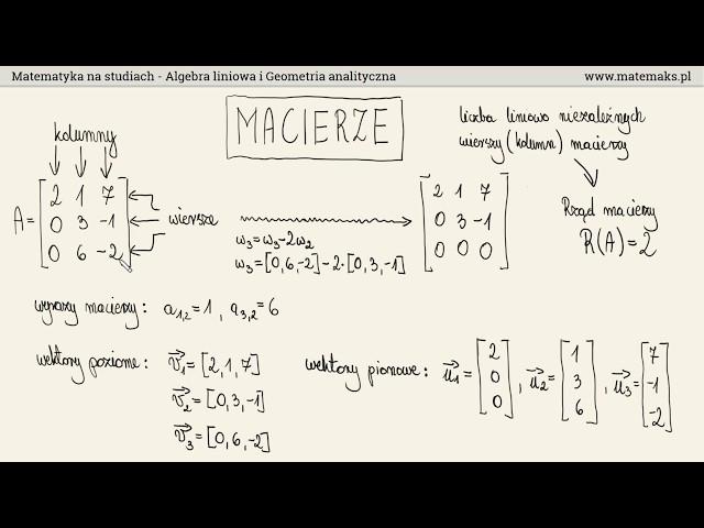 Matematyka na studiach – czy naprawde jest taka trudna?