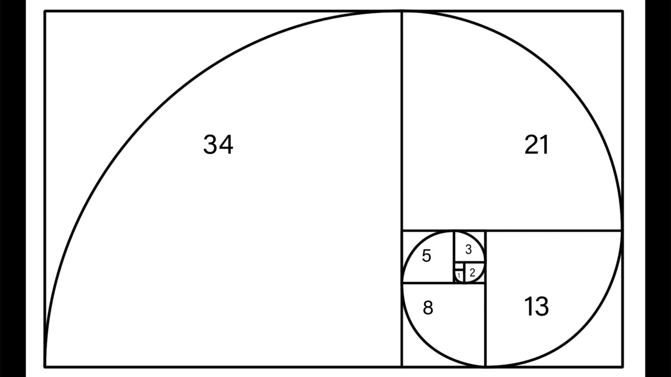 Czy istnieje „doskonały” kształt? Geometria w przyrodzie